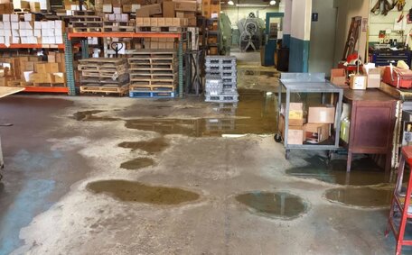 Sump Pump Failure: